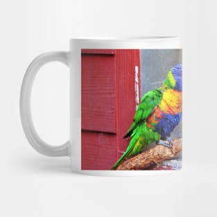 Rainbow Lory Mug